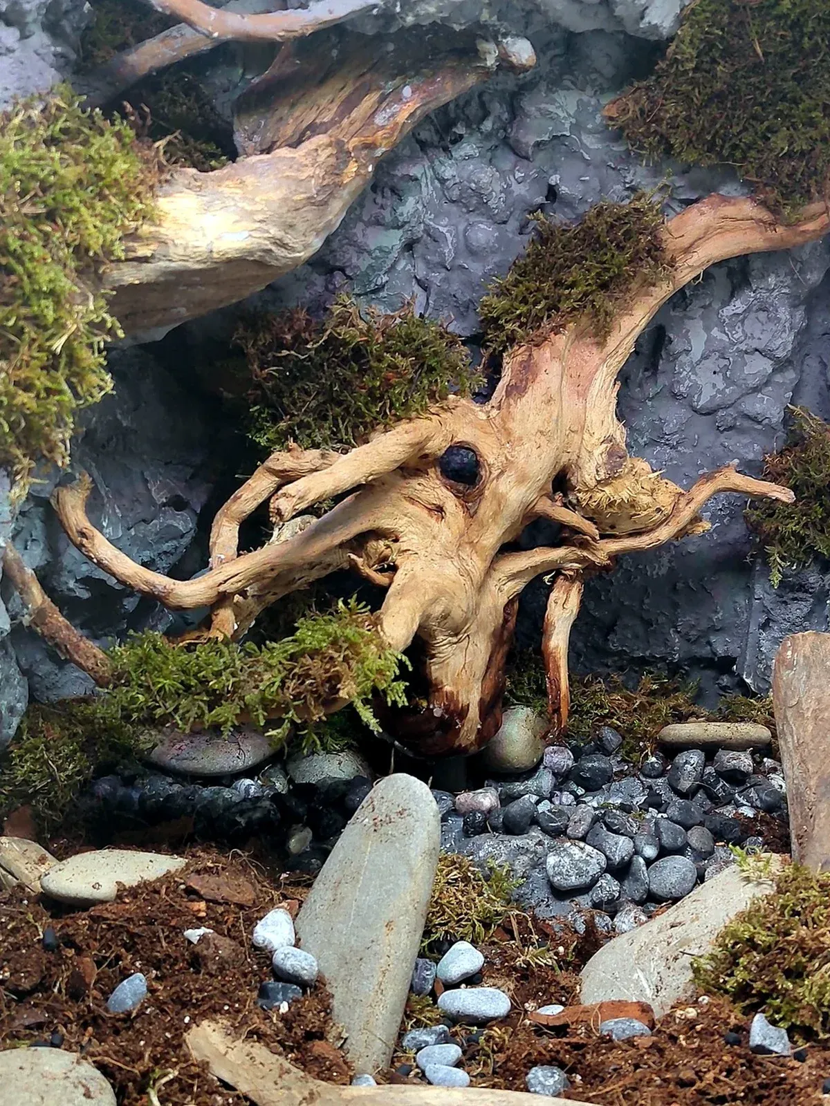 Floating Tree: dettaglio 1