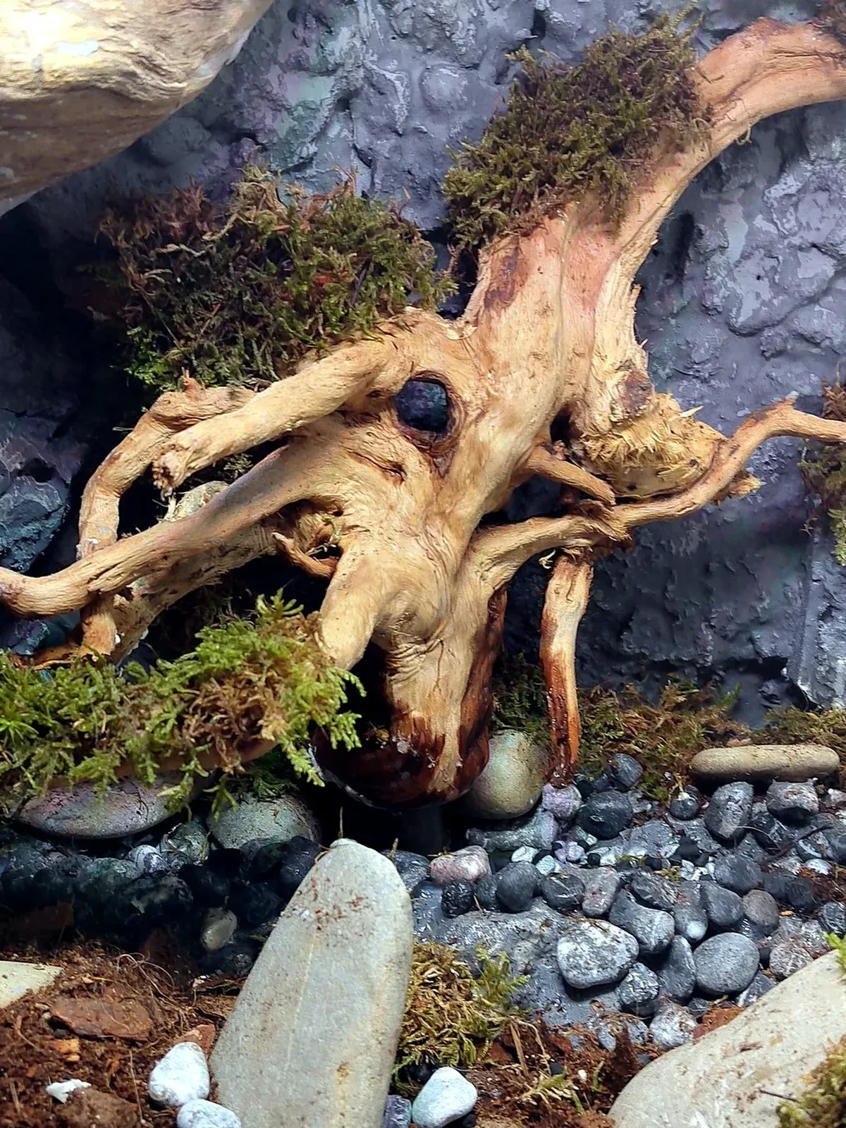 Floating Tree: dettaglio 2