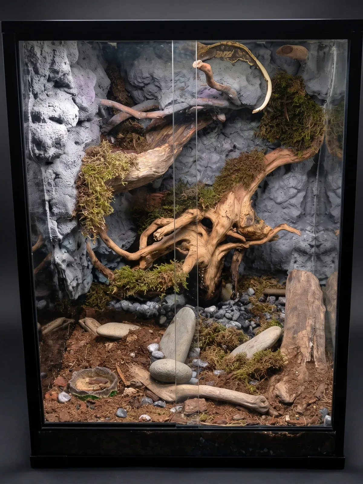 Floating Tree: vista frontale del terrario